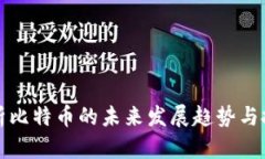 深入解析比特币的未来发