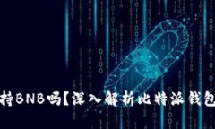 比特派钱包支持BNB吗？深