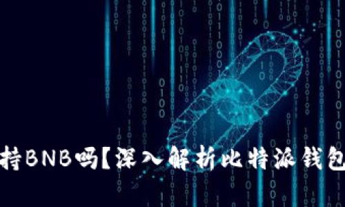 比特派钱包支持BNB吗？深入解析比特派钱包的功能与优势