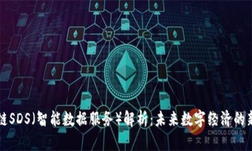 区块链SDS（智能数据服务）解析：未来数字经济的新引擎