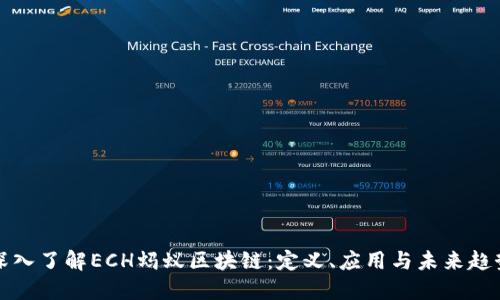 深入了解ECH蚂蚁区块链：定义、应用与未来趋势