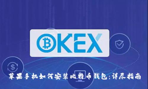 苹果手机如何安装比特币钱包：详尽指南
