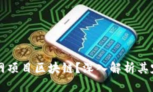 什么是主网项目区块链？深入解析其定义与应用