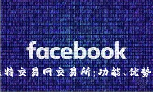 完全解析比特交易网交易所：功能、优势与操作指南