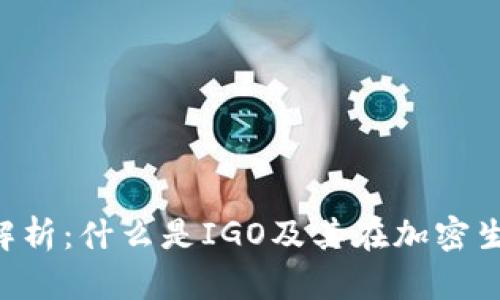 区块链IGO的全面解析：什么是IGO及其在加密生态系统中的重要性