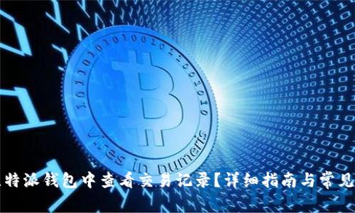 如何在比特派钱包中查看交易记录？详细指南与常见问题解析