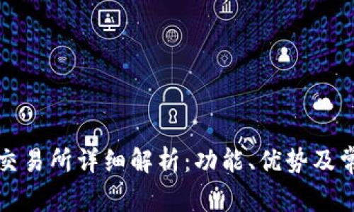 比特交易网交易所详细解析：功能、优势及常见问题解答