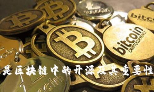什么是区块链中的开源及其重要性解析
