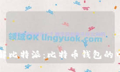 深入了解比特派：比特币钱包的中文指南