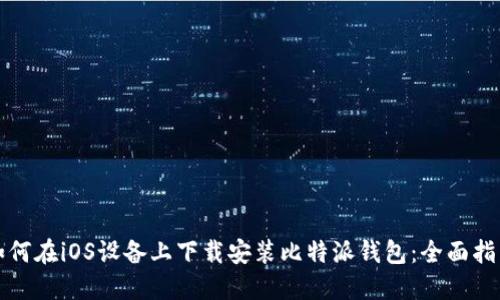 如何在iOS设备上下载安装比特派钱包：全面指南