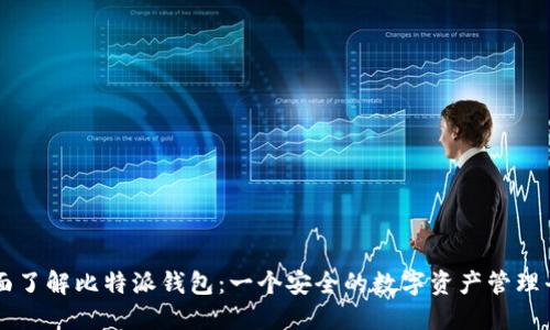 全面了解比特派钱包：一个安全的数字资产管理平台