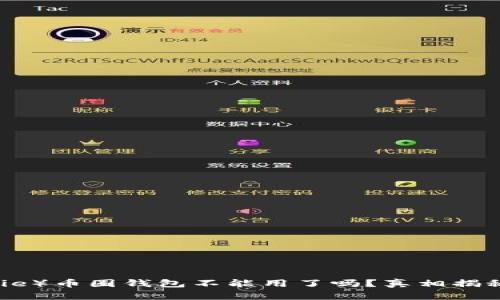 比特派（Bitpie）币圈钱包不能用了吗？真相揭秘与解决方案