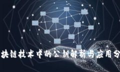 区块链技术中的公钥解析与应用分析