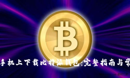 如何在安卓手机上下载比特派钱包：完整指南与常见问题解答