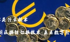 区块链切换技术是什么技术bianoti深入解析区块链