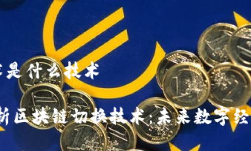 区块链切换技术是什么技术

bianoti深入解析区块链切换技术：未来数字经济的核心驱动力