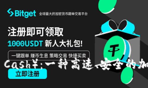 比特现金（Bitcoin Cash）：一种高速、安全的加密货币的全面解析