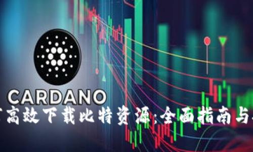 如何高效下载比特资源：全面指南与技巧
