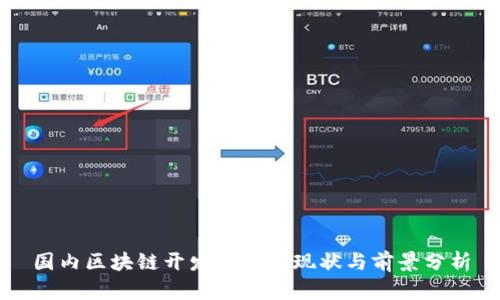 国内区块链开发平台的现状与前景分析