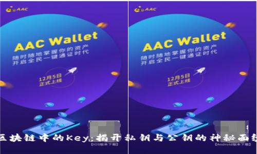 区块链中的Key：揭开私钥与公钥的神秘面纱