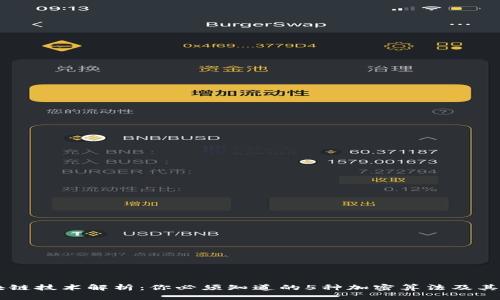 区块链技术解析：你必须知道的5种加密算法及其应用