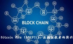 深入了解Bitcoin File (BTCFI