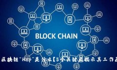 深入解析：区块链“Hop”