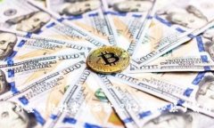 揭开区块链新型网络技术