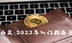 区块链小白鼠：2023年入门