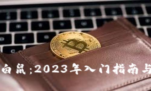 区块链小白鼠：2023年入门指南与实用技巧
