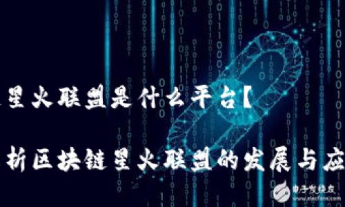 区块链星火联盟是什么平台？

深度解析区块链星火联盟的发展与应用前景