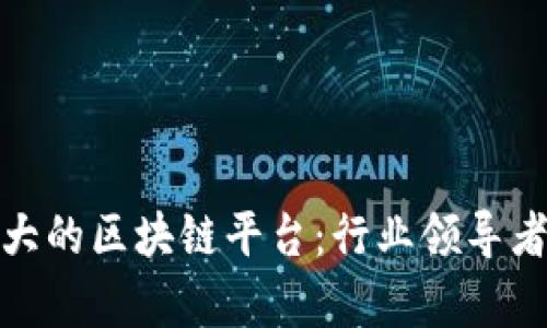 探秘澳洲最大的区块链平台：行业领导者与发展前景