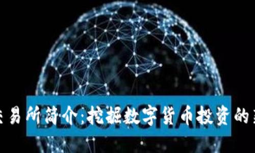 比特交易所简介：挖掘数字货币投资的新机会