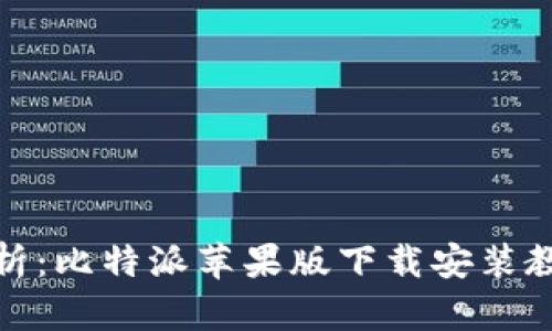 全面解析：比特派苹果版下载安装教程视频