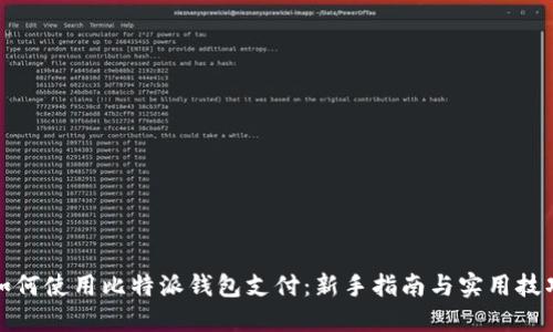 如何使用比特派钱包支付：新手指南与实用技巧