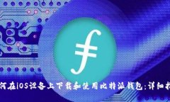 如何在iOS设备上下载和使
