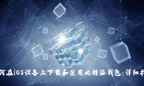 如何在iOS设备上下载和使用比特派钱包：详细指南