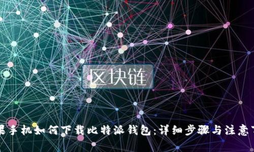 苹果手机如何下载比特派钱包：详细步骤与注意事项