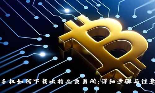 苹果手机如何下载比特儿交易所：详细步骤与注意事项