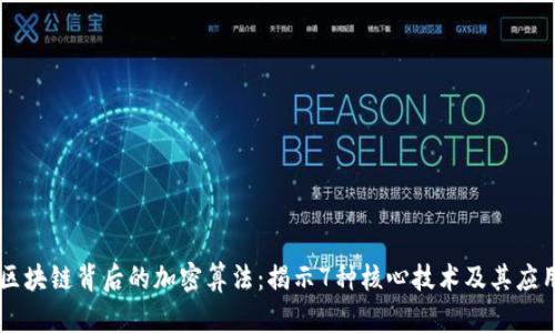 区块链背后的加密算法：揭示7种核心技术及其应用