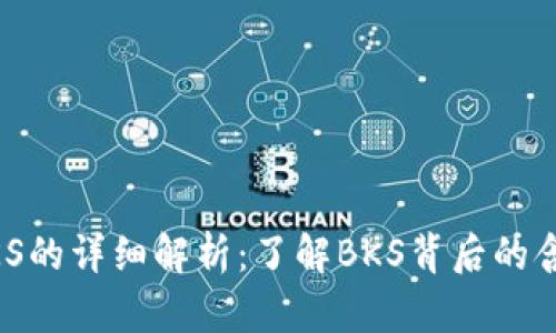 区块链BKS的详细解析：了解BKS背后的含义与应用
