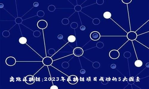 奕跑区块链：2023年区块链项目成功的5大因素