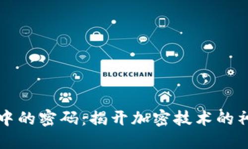 区块链中的密码：揭开加密技术的神秘面纱