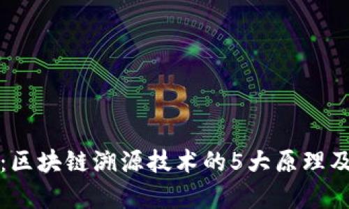 深入解析：区块链溯源技术的5大原理及应用实例