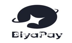 2023年最新比特派钱包下载