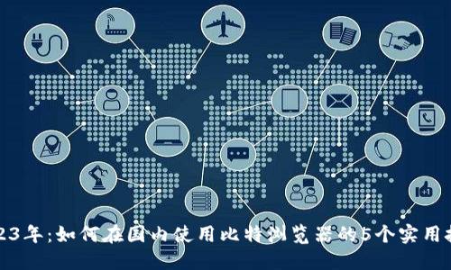 2023年：如何在国内使用比特浏览器的5个实用技巧