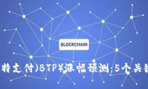 2021年比特支付（BTP）涨幅预测：5个关键因素分析