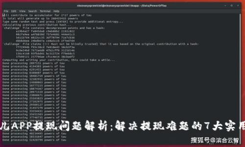 比特儿APP提现问题解析：解决提现难题的7大实用技巧