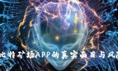 揭晓：比特矿场APP的真实
