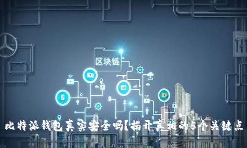 比特派钱包真实安全吗？揭开真相的5个关键点